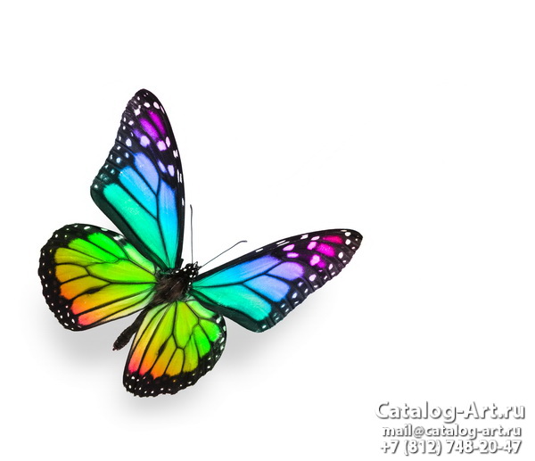  Butterflies 102